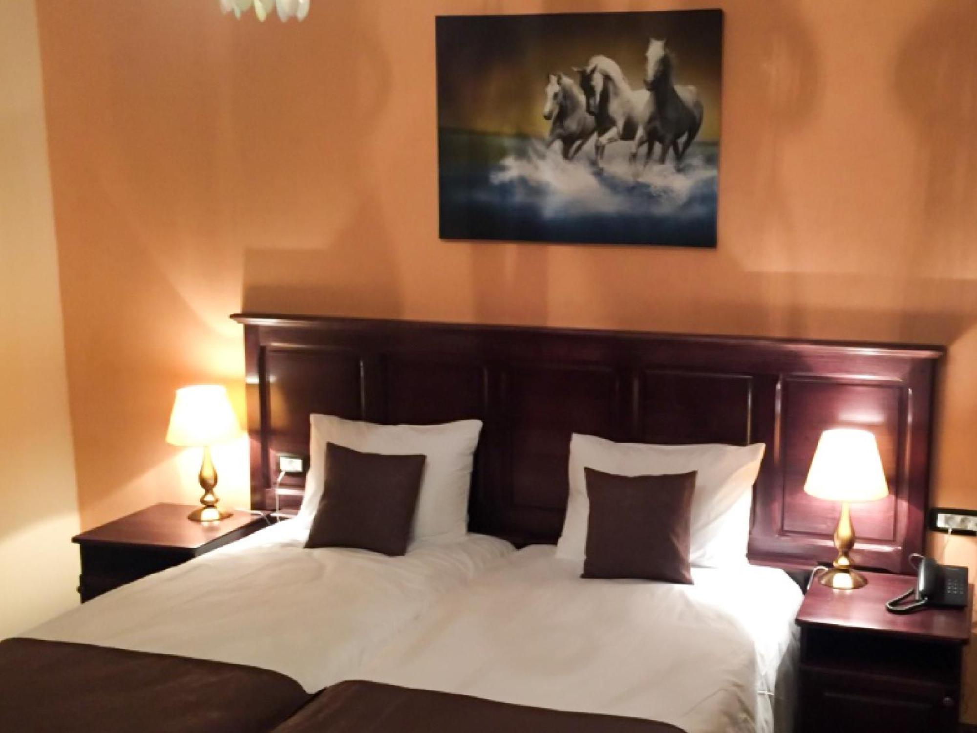 Laura Holiday Otel Brăila Oda fotoğraf